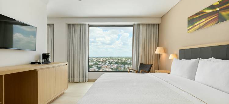 节日酒店梅尼达阿尔塔布里萨(Fiesta Inn Mérida Altabrisa)图片