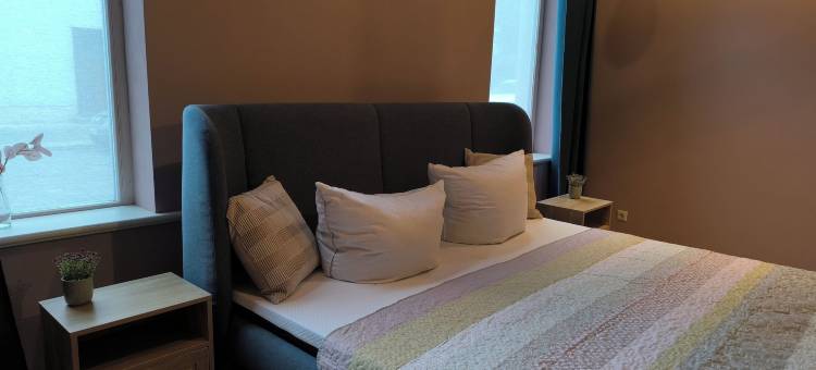 奎德林堡历史老城的新开间度假公寓(New Studio-style Holiday Apartment in the Historic old Town of Quedlinburg)图片