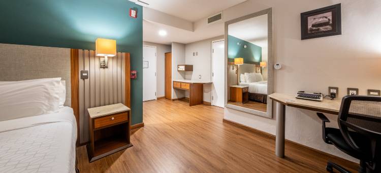 奥里扎巴假日酒店(Holiday Inn ORIZABA by IHG)图片