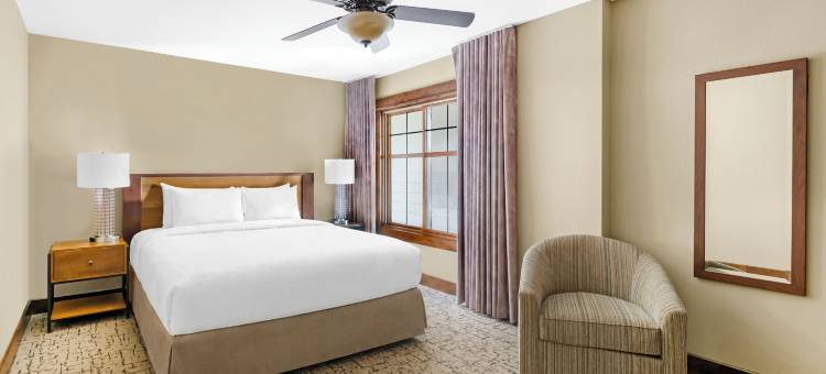 希尔顿分时度假俱乐部天堂角霍利斯特酒店(Hilton Grand Vacations Club Paradise Point Hollister)图片