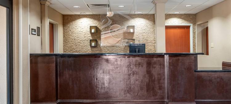 舒适酒店及套房(Comfort Inn & Suites)图片