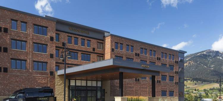 大天空市居家酒店/威尔逊酒店(Residence Inn Big Sky/The Wilson Hotel)图片