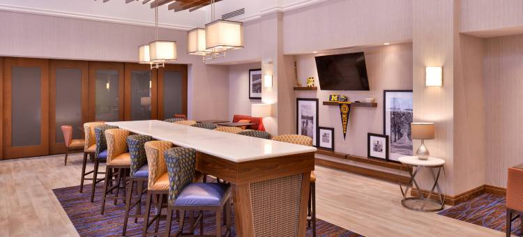 安阿伯西欢朋套房酒店(Hampton Inn & Suites Ann Arbor-West)图片