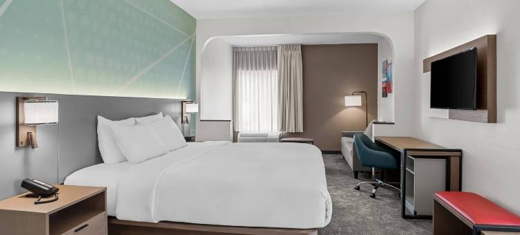 路斯格兰帝王之城附近舒适酒店(Comfort Inn Ruther Glen Near Kings Dominion)图片