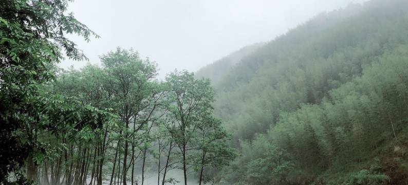 宁国小九寨葛洪仙居(皖南川藏线店)图片