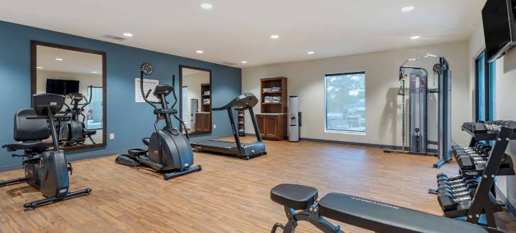 舒适套房酒店(Comfort Suites)图片