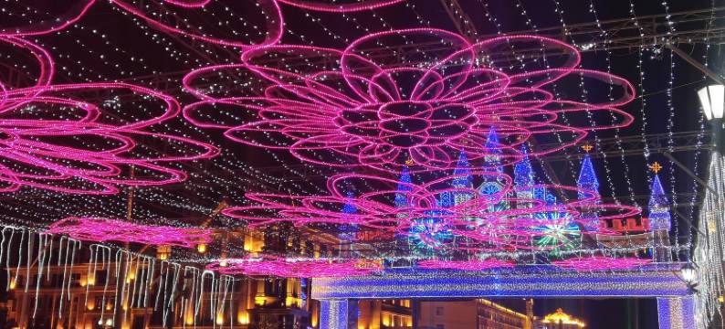 翔宇宾馆(阿尔山市政府火车站店)图片