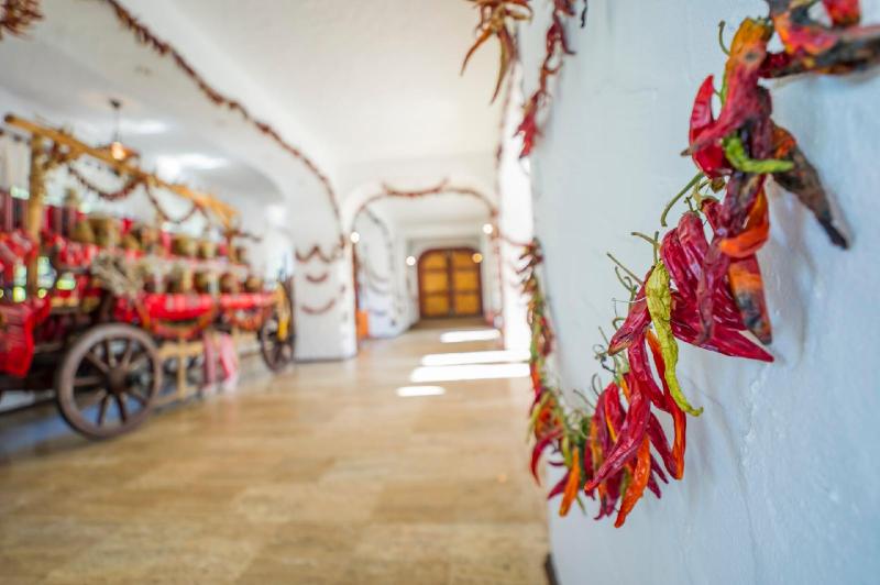 Aurelius Imparatul Romanilor Over view