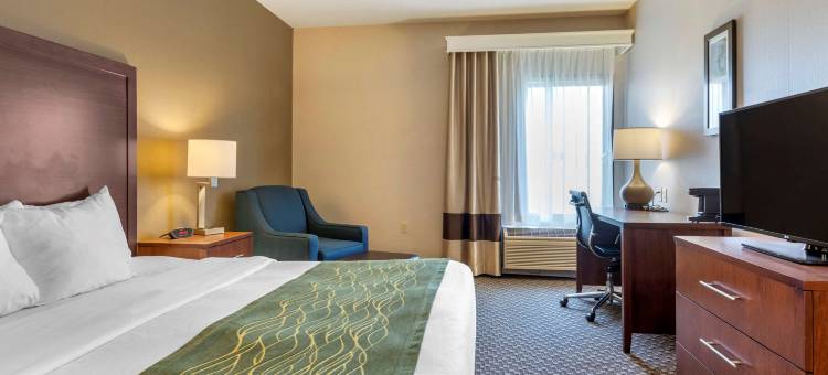 舒适酒店(Comfort Inn Charlotte)图片