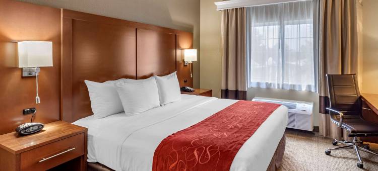 柯林斯堡大学附近舒适套房酒店(Comfort Suites Fort Collins Near University)图片