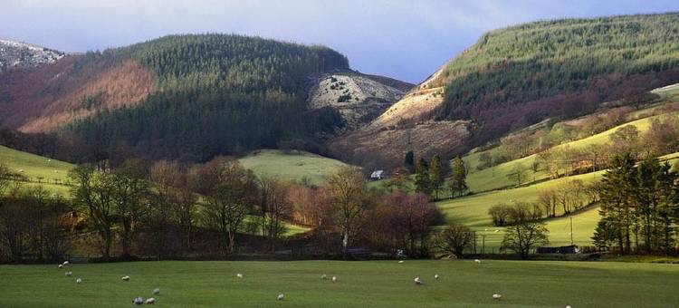 灰白大厅酒店(Palé Hall)图片
