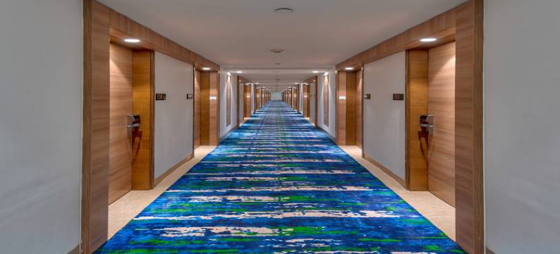 古尔冈90区假日酒店(Holiday Inn GURUGRAM SECTOR 90 by IHG)图片