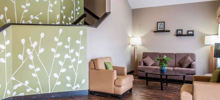 罗德威机场酒店(Rodeway Inn Airport)图片