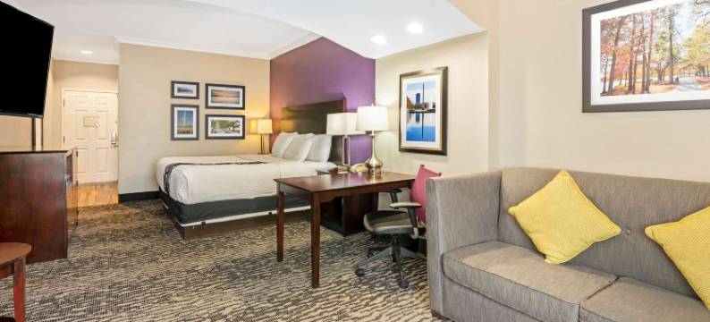 休斯顿玛格诺利亚拉昆塔温德姆套房酒店(La Quinta Inn & Suites by Wyndham Houston - Magnolia)图片