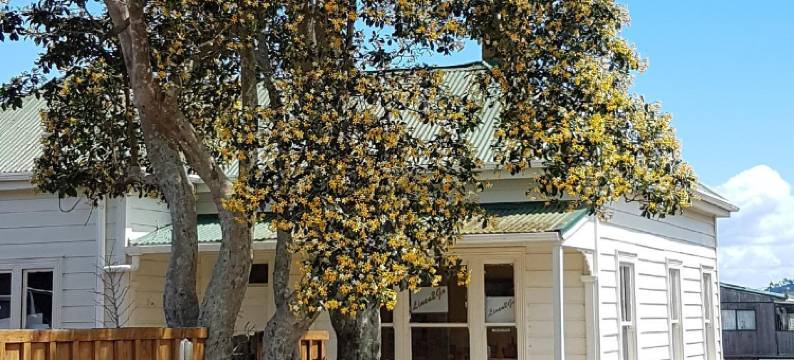 艾碧庭园汽车旅馆(Abbey Court Motel)图片