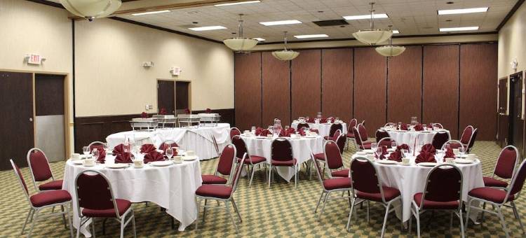 温德姆花园酒店-罗穆勒斯底特律机场(Wyndham Garden Romulus Detroit Metro Airport)图片