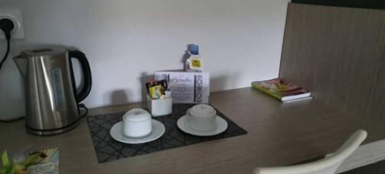 舒茨西弗尔酒店(Logis Hotel Schaeffer- Restaurant le Saint Georges)图片