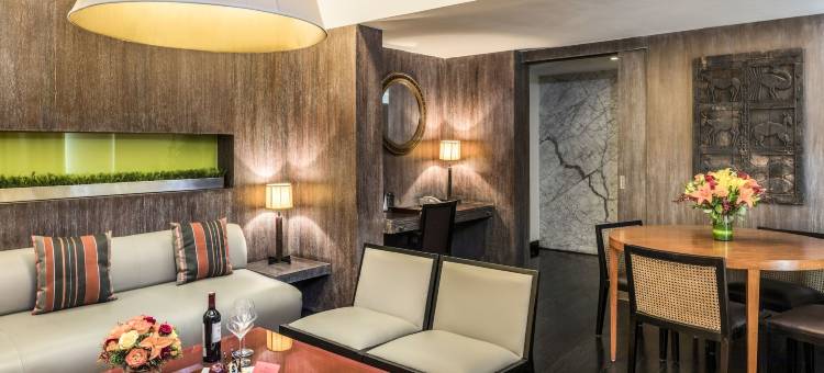 新德里公园酒店(The Park New Delhi)图片