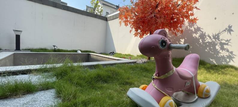 观澜度假别墅(奥园大道分店)图片