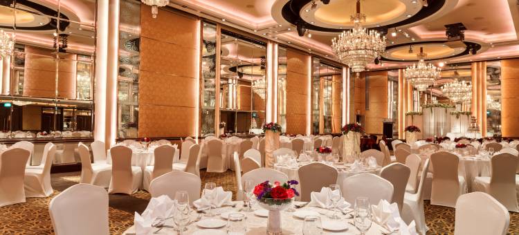 新加坡乌节市中心假日酒店 - IHG 旗下酒店(Holiday Inn Singapore Orchard City Centre)图片