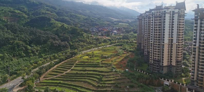 见素抱朴客栈图片