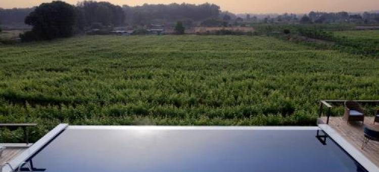 SaffronStays Onellaa, Nashik - infinity pool villa surrounded by a vineyard图片