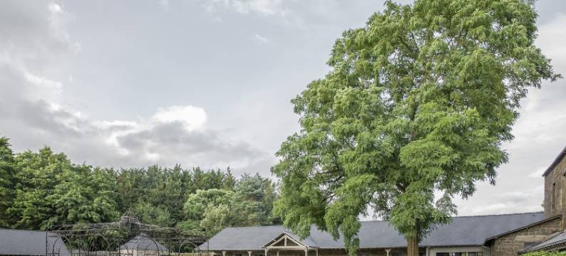 勒特龙谢修道院翰悦阁酒店(Hotel de l'Abbaye le Tronchet - Handwritten Collection)图片