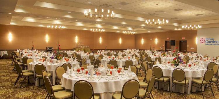 休斯顿皮尔兰希尔顿花园酒店(Hilton Garden Inn Houston-Pearland)图片