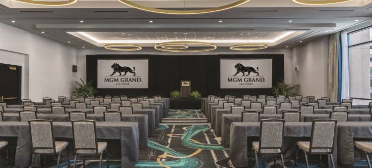 美高梅大酒店(MGM Grand Hotel and Casino)图片