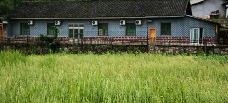 天池客栈(天池分店)图片