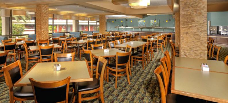 奥兰多罗森酒店(Rosen Inn at Pointe Orlando)图片