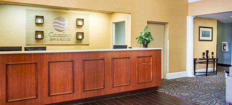 斯通山舒适套房酒店(Comfort Inn & Suites at Stone Mountain)图片