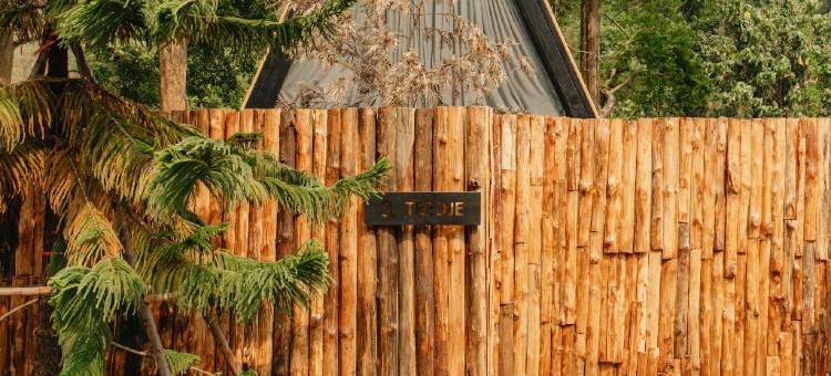 拉格姆村度假村(LAGÖM Village Resort)图片