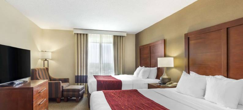 舒适套房酒店(Comfort Inn & Suites)图片