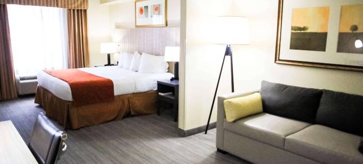 切斯特丽怡酒店(Country Inn & Suites by Radisson, Chester, VA)图片