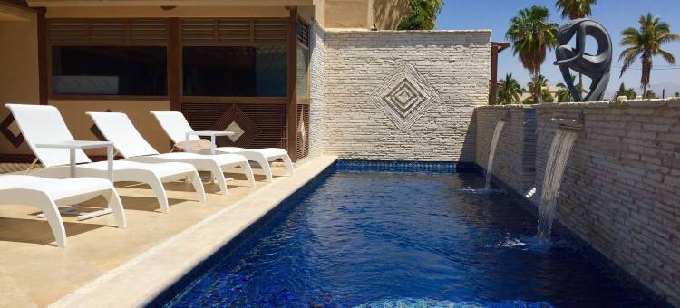 卡波维斯塔酒店(限成人)(Cabo Vista Hotel Adults Only)图片