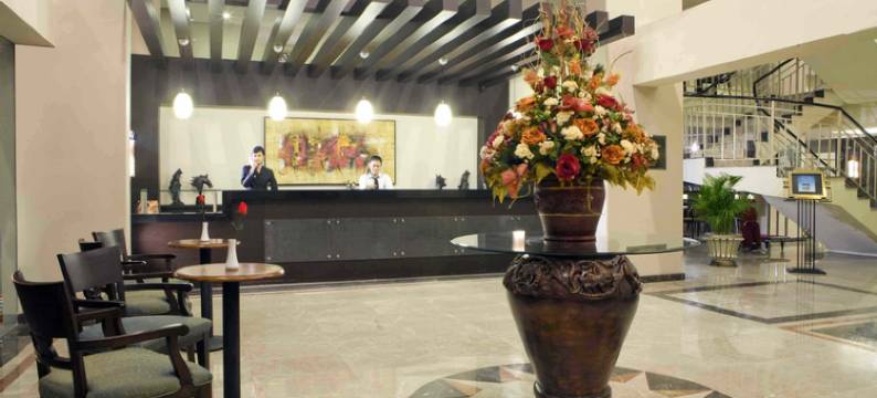 洛萨里乐声雅加达酒店(Losari Roxy Hotel Jakarta)图片