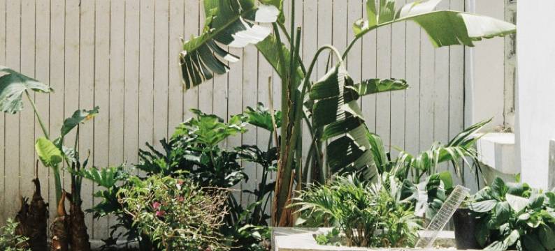 大理才村望野女性民宿(环海西路分店)图片