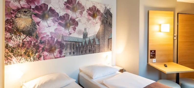 希尔德斯海姆B&B酒店(B&B HOTEL Hildesheim)图片