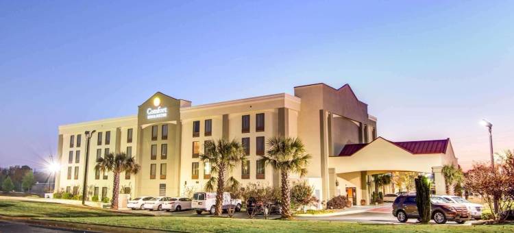 舒适套房酒店(Comfort Inn & Suites Athens North)图片