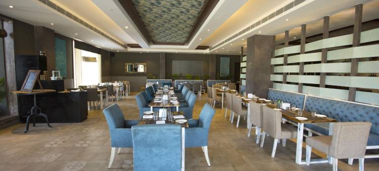 利亚萨特度假村(RK Riyasat Resort)图片