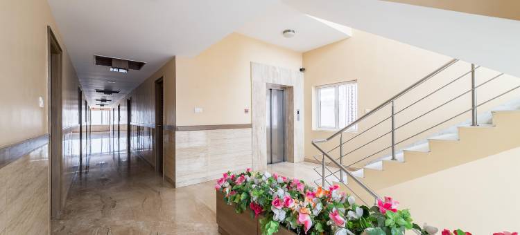 Treebo Ess Grande图片