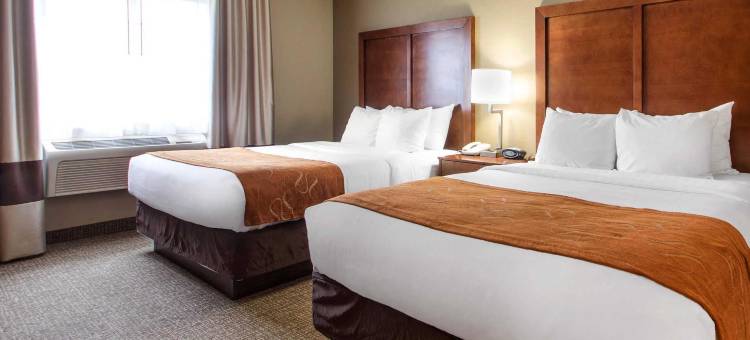 约翰逊河会议中心舒适套房酒店(Comfort Suites Johnson Creek Conference Center)图片