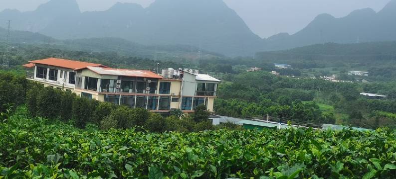 英德红茶体验馆特色民宿(美红路分店)图片