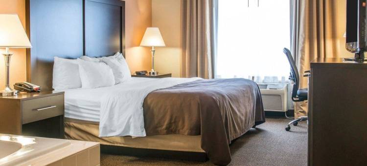 凯艺套房酒店(Quality Inn & Suites Niles)图片