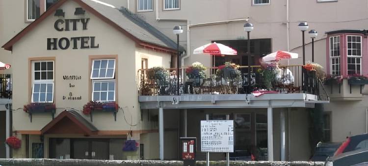 城市酒店(The City Hotel)图片