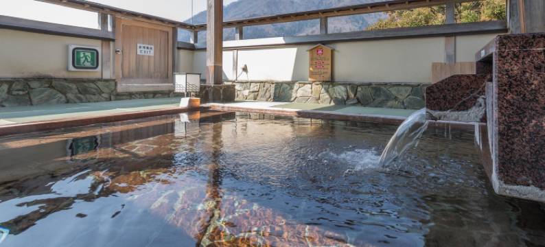 四季之宿美浓屋酒店(Shikinoyado Minoya)图片