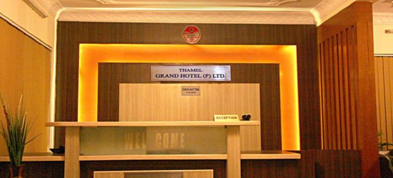 泰美尔大酒店(Thamel Grand Hotel)图片