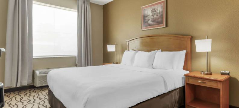 切萨皮克朴茨茅斯舒适套房酒店(Comfort Inn & Suites Chesapeake - Portsmouth)图片