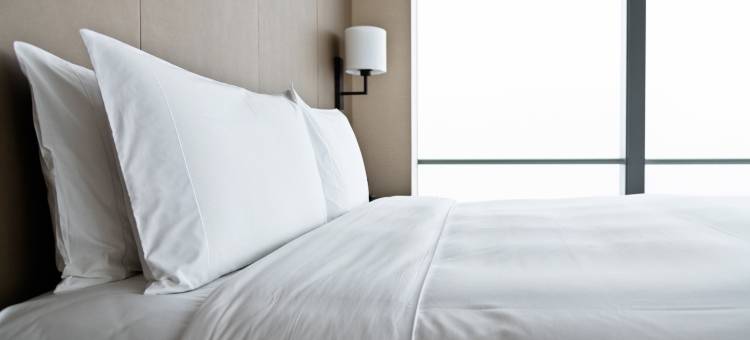 亨茨维尔中城英迪格酒店(Hotel Indigo Huntsville - Midcity by IHG)图片